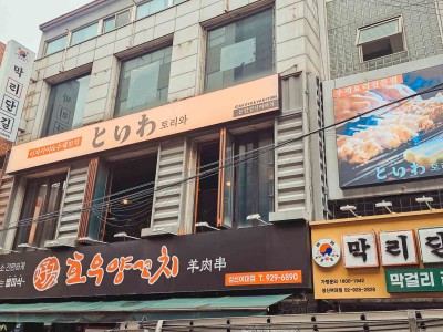 성북구 ㅣ토리와(성신여대점)